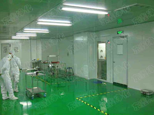 食品凈化,凈化工程,食品凈化工程