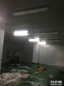 金山石化區(qū)食品廠專業(yè)凈化工程 彩鋼巖棉板隔斷、車間隔墻與工裝裝修一體化解決方案